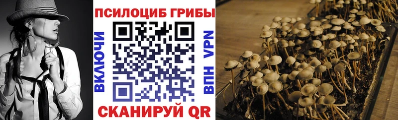 Псилоцибиновые грибы MAGIC MUSHROOMS  закладки  мега ТОР  Ликино-Дулёво 